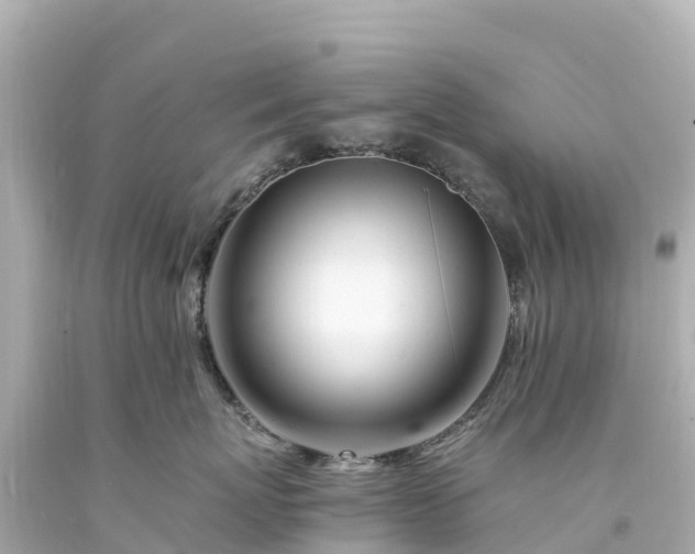 X0000094200767200711021051