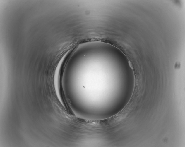 X0000094200768200711021051