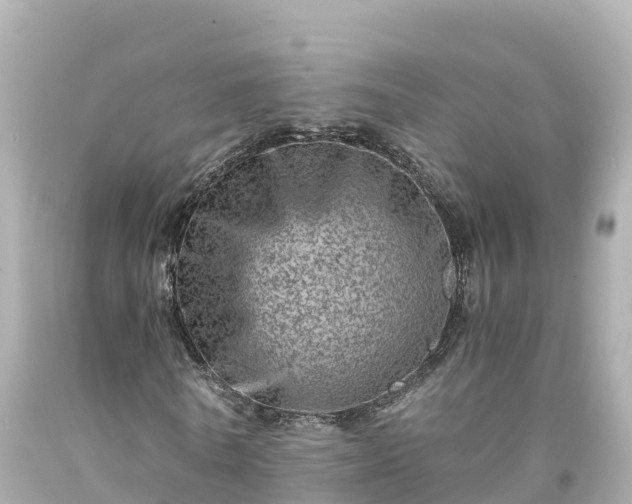 X0000094200770200711021051