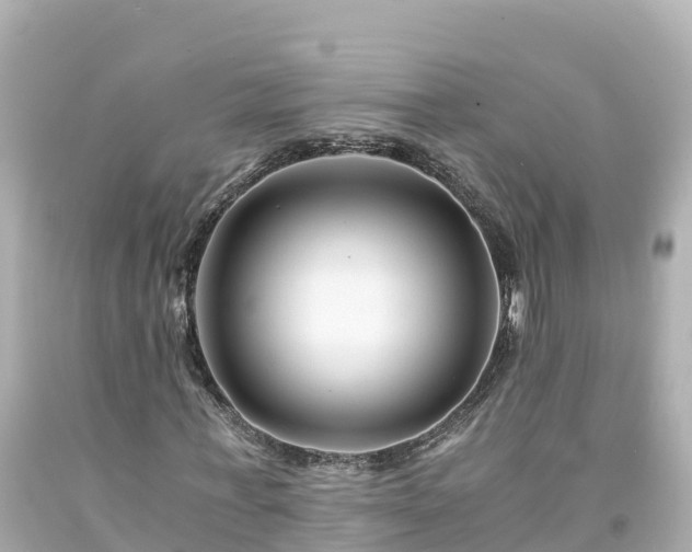 X0000094200771200711021051
