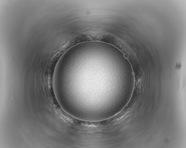 X0000094200772200711021051