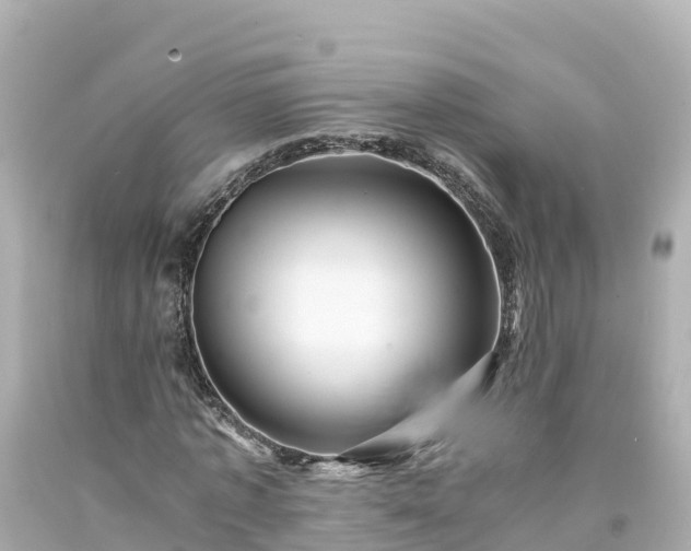 X0000094200773200711021051