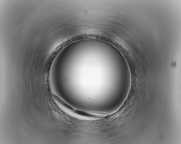 X0000094200775200711021051
