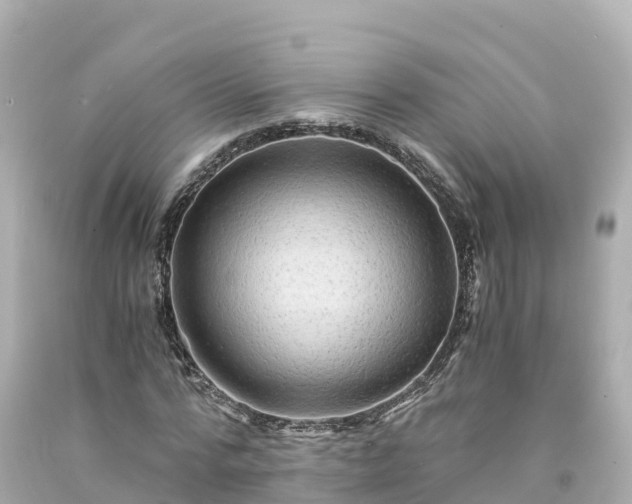 X0000094200776200711021051