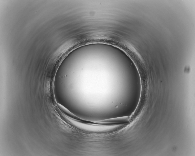 X0000094200777200711021050