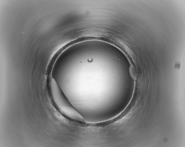 X0000094200779200711021050