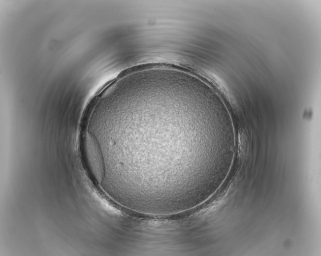X0000094200780200711021050