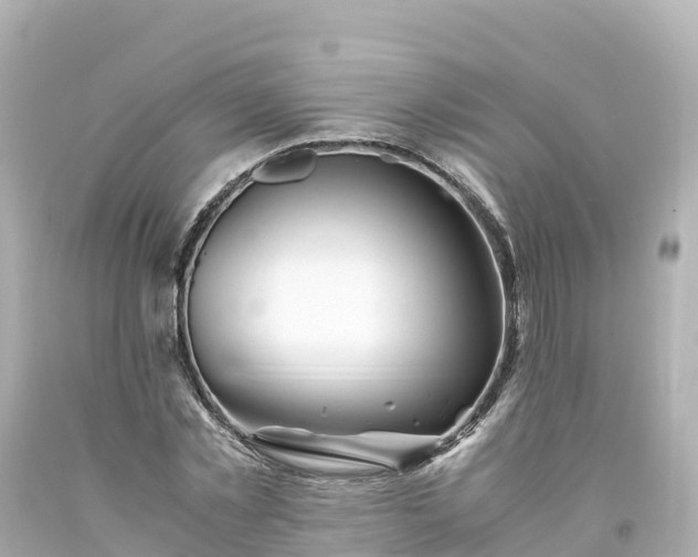 X0000094200781200711021050