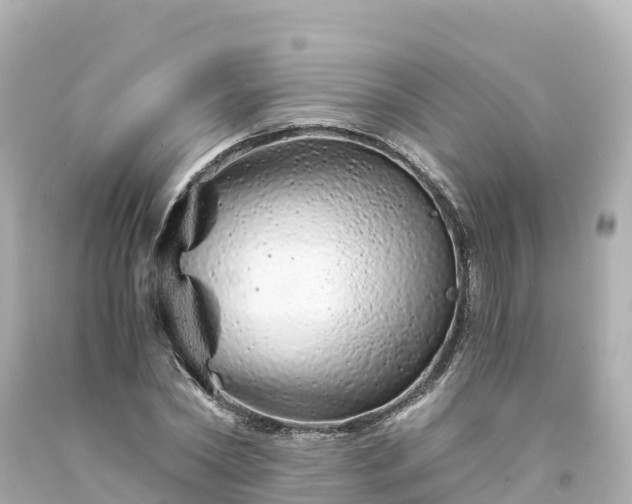 X0000094200782200711021050