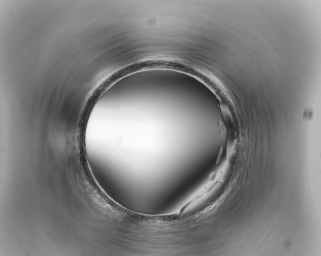 X0000094200783200711021050