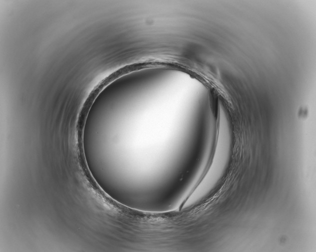 X0000094200784200711021050