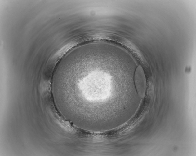 X0000094200785200711021050