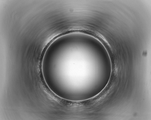 X0000094200786200711021050
