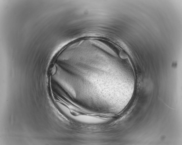 X0000094200787200711021050