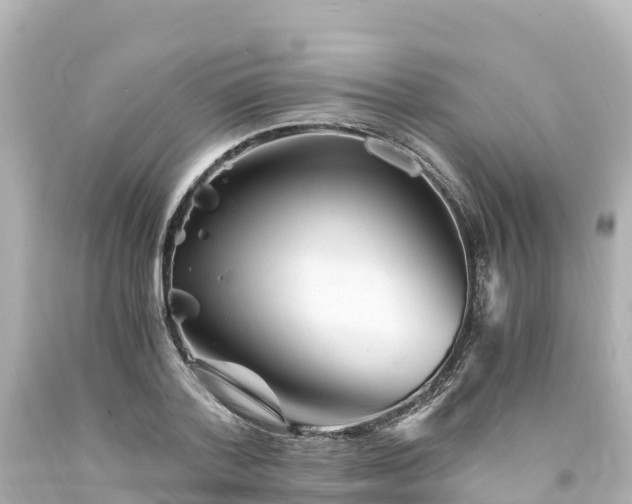 X0000094200788200711021050