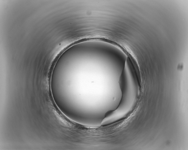 X0000094200789200711021050