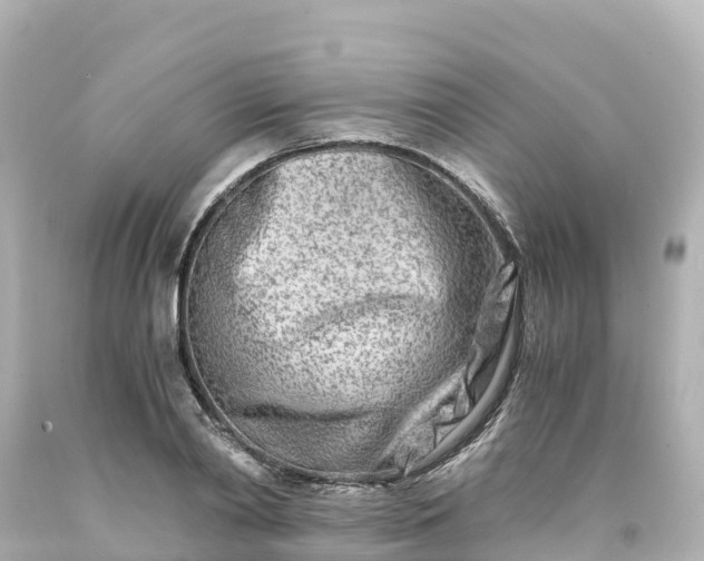 X0000094200790200711021050