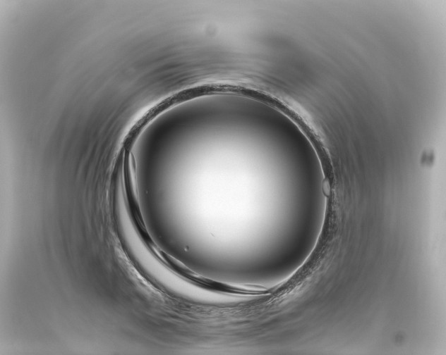 X0000094200791200711021050