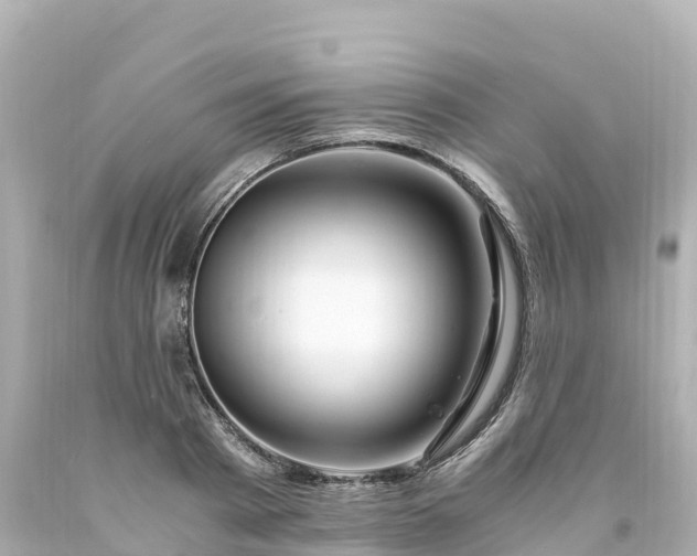 X0000094200793200711021050