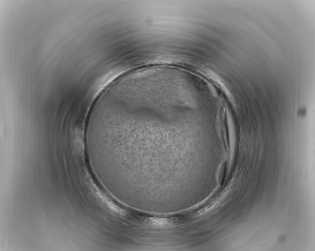 X0000094200794200711021050