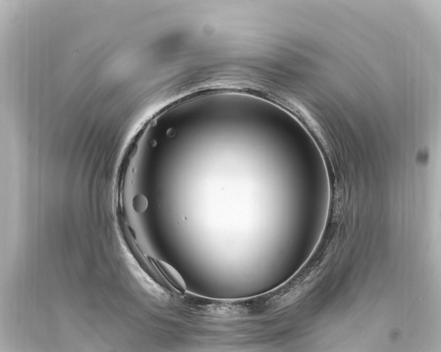 X0000094200795200711021050