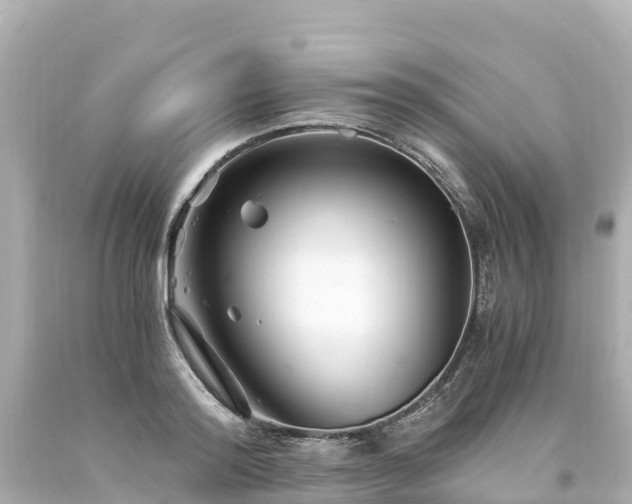 X0000094200796200711021050