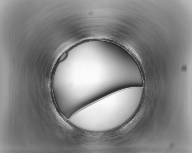 X0000094200797200711021050