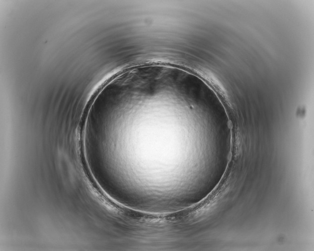 X0000094200798200711021050