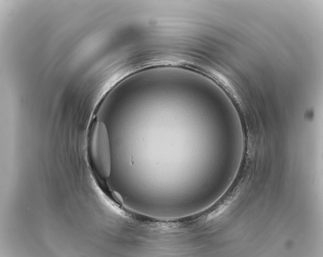 X0000094200802200711021050