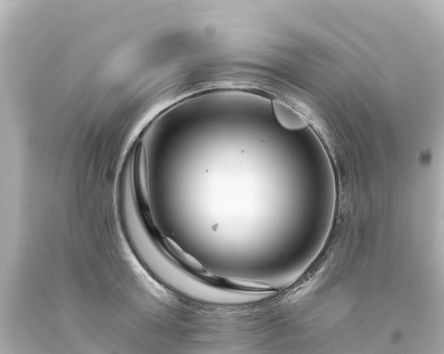 X0000094200803200711021050