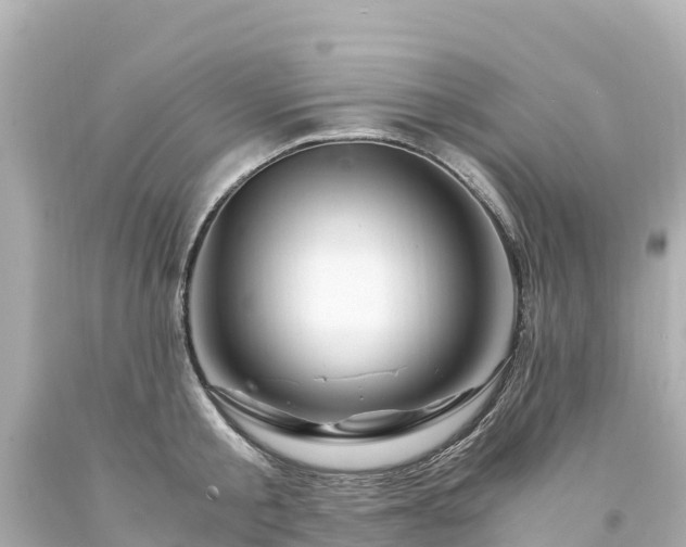 X0000094200805200711021050