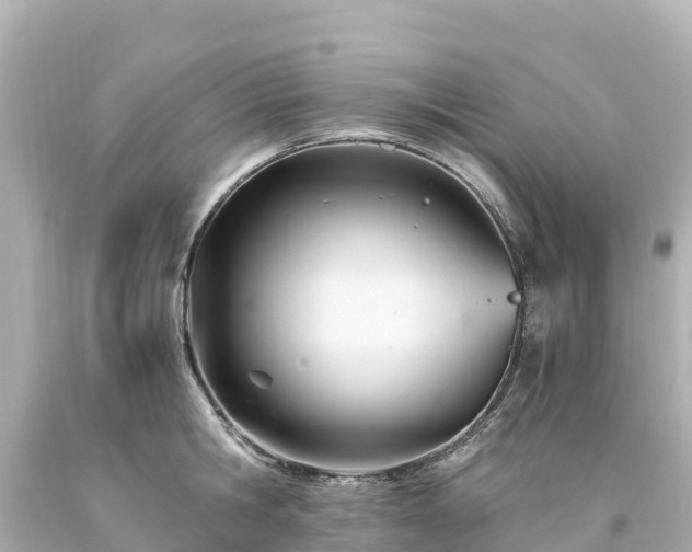X0000094200806200711021050