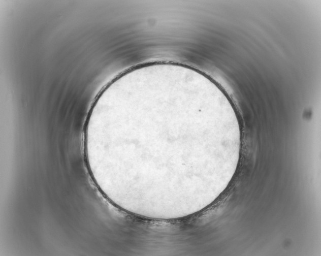 X0000094200807200711021050