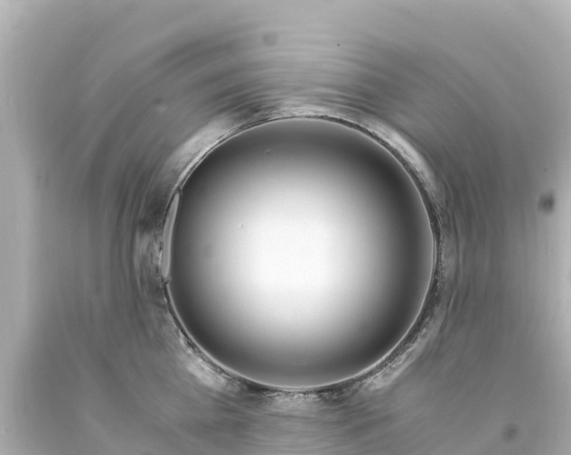 X0000094200809200711021050