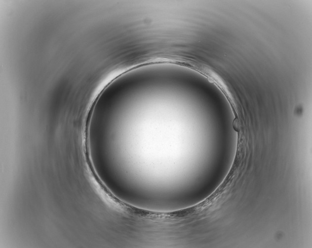 X0000094200811200711021050