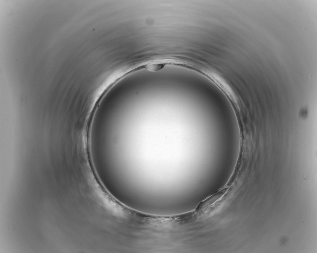 X0000094200813200711021050