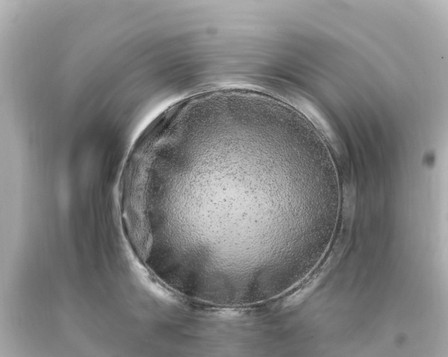 X0000094200814200711021050