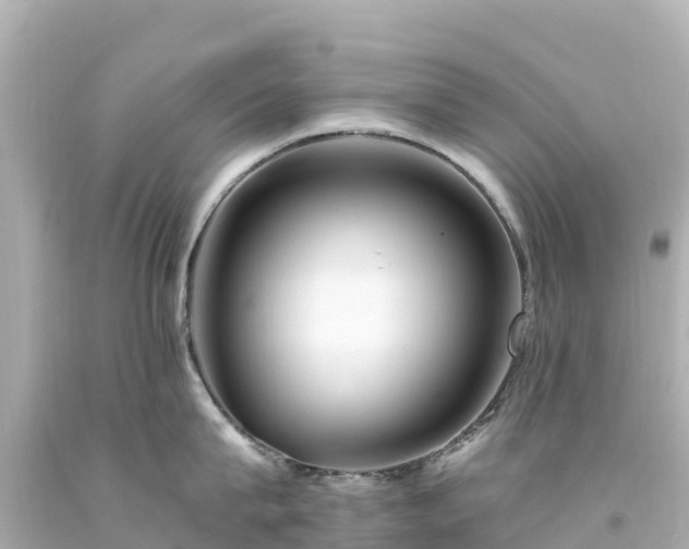 X0000094200815200711021050