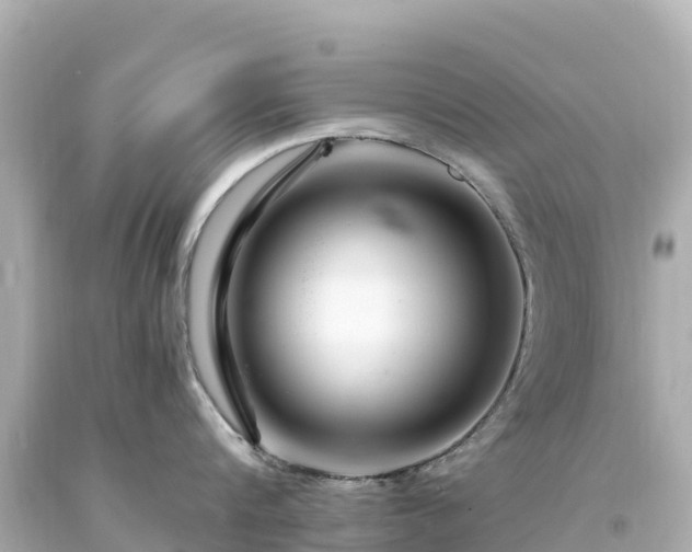 X0000094200816200711021050