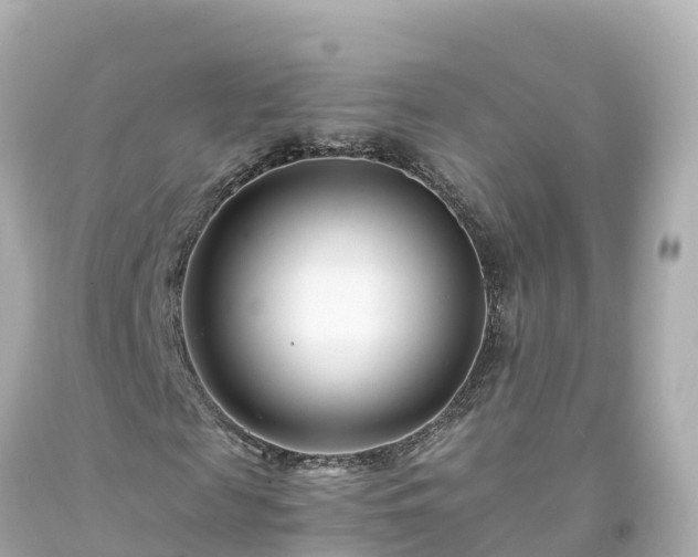 X0000094200817200711021049