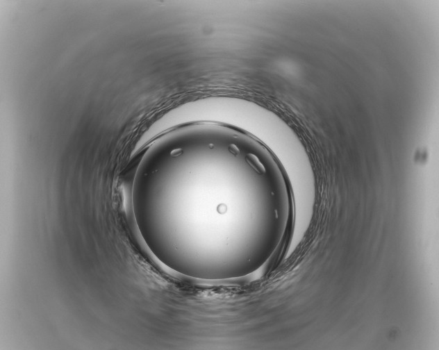 X0000094200818200711021049