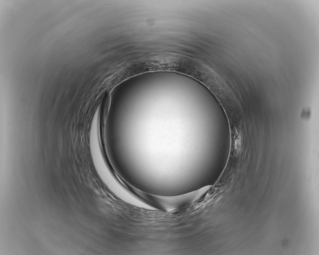 X0000094200819200711021049