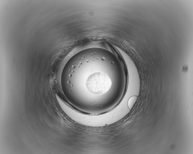 X0000094200820200711021049
