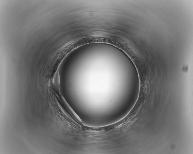X0000094200821200711021049