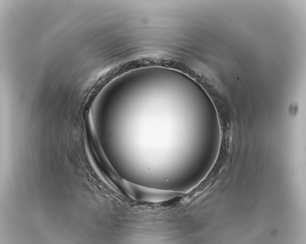 X0000094200822200711021049