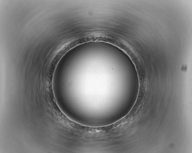 X0000094200823200711021049
