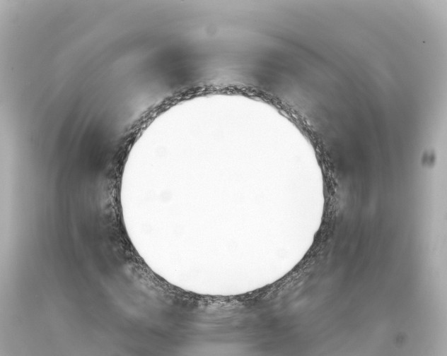 X0000094200824200711021049