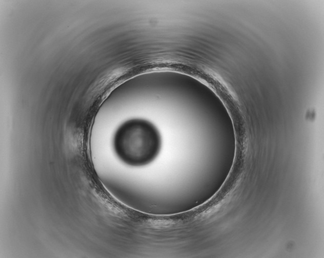 X0000094200825200711021049