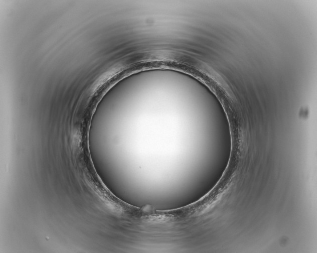 X0000094200826200711021049