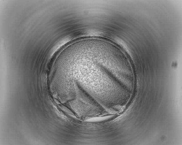 X0000094200827200711021049